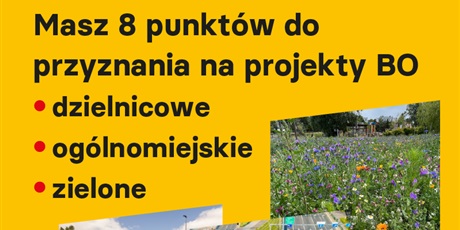 Powiększ grafikę: budzet-obywatelski-2024-461300.jpg