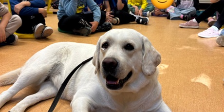Dogoterapia