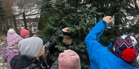 Powiększ grafikę: Wieszanie na gałązkach