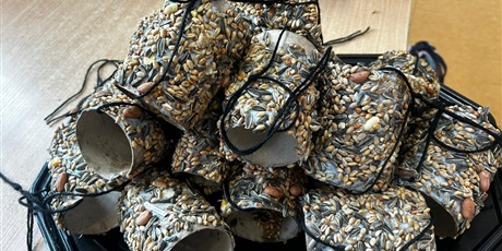 Dokarmiamy ptaki zimą.