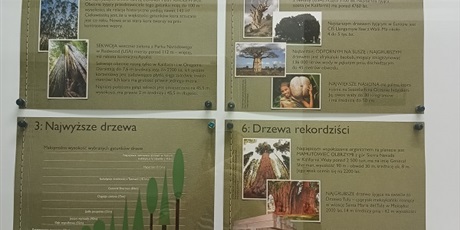 Powiększ grafikę: Gazetka z ciekawostkami przy bibliotece.