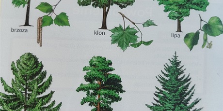 Powiększ grafikę: Karta obserwacyjna w bibliotece.