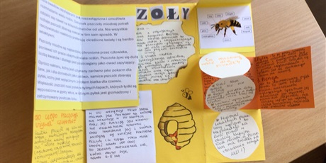 Powiększ grafikę: Lapbook z informacjami.