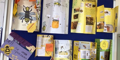 Powiększ grafikę: Tablica z lapbookami.