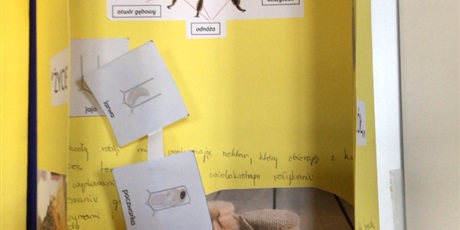 Powiększ grafikę: Lapbook.