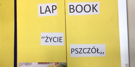 Powiększ grafikę: Życie pszczół.
