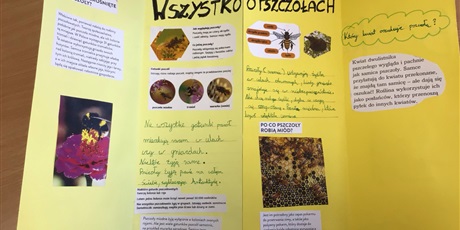 Powiększ grafikę: Wszystko o pszczołach.