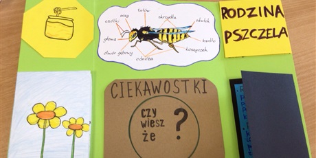 Powiększ grafikę: Rodzina pszczela - ciekawostki.