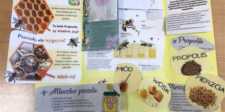 Powiększ grafikę: Informacje w lapbooku.
