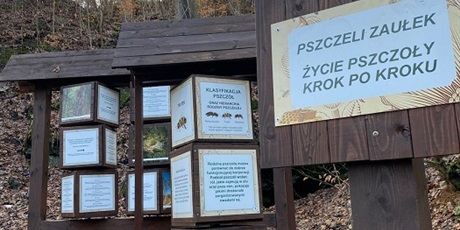 Powiększ grafikę: Ścieżka edukacyjna o pszczołach.