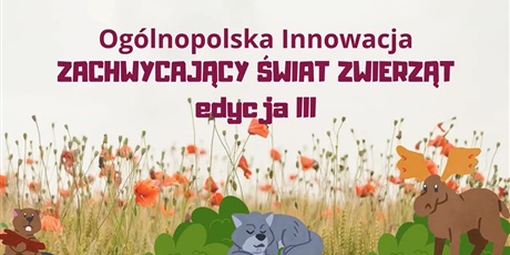 Innowacja ZACHWYCAJĄCY ŚWIAT ZWIERZĄT