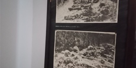 Powiększ grafikę: Zdjęcia.