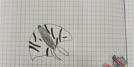 Powiększ grafikę: Praca ucznia kl 1b.