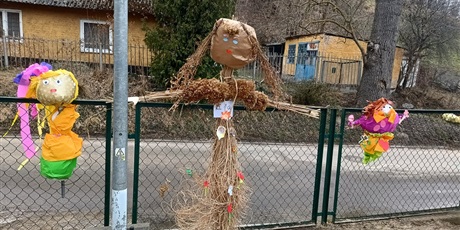 Powiększ grafikę: Marzanny na płocie.