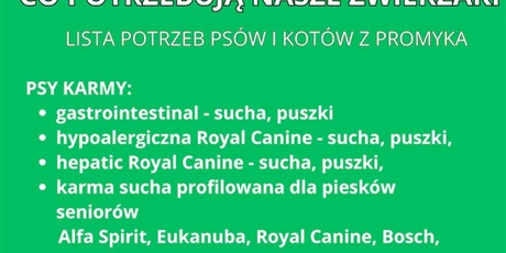 Pomagajmy Schronisku