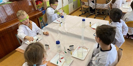 Powiększ grafikę: Obserwacje.