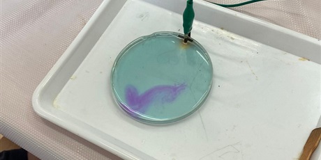 Warsztaty naukowe dla klas młodszych.