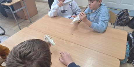 Powiększ grafikę: Oglądanie eksponatów.