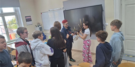 Powiększ grafikę: Pokaz poroża.