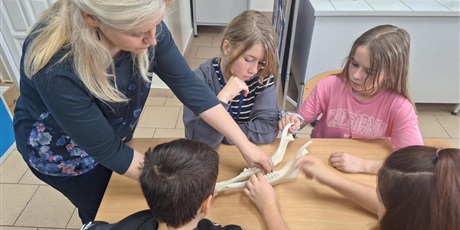 Powiększ grafikę: Oglądanie eksponatów.