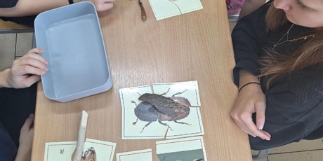 Powiększ grafikę: Puzzle ze zwierzętami.