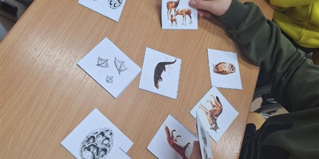 Powiększ grafikę: Rozpoznawanie zwierząt.