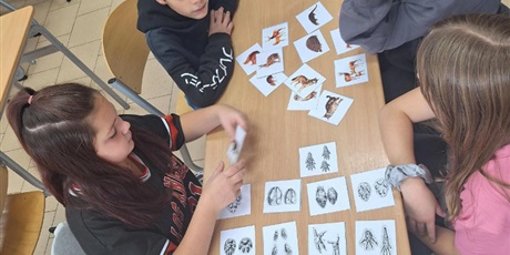 Powiększ grafikę: Odszukiwanie tropów.