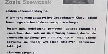 Powiększ grafikę: Plakat wyborczy Zosi.