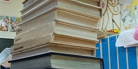 Powiększ grafikę: BIBLIOTEKA