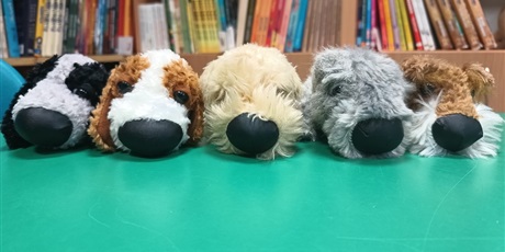 Powiększ grafikę: BIBLIOTEKA