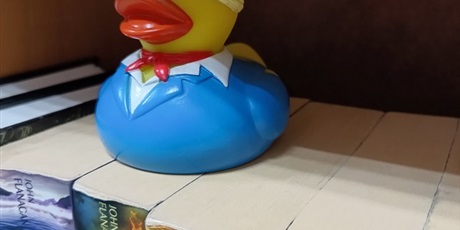 Powiększ grafikę: BIBLIOTEKA