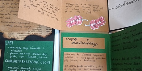 Powiększ grafikę: Konkursy 2025/2026