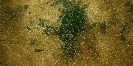 Powiększ grafikę: OBIADY