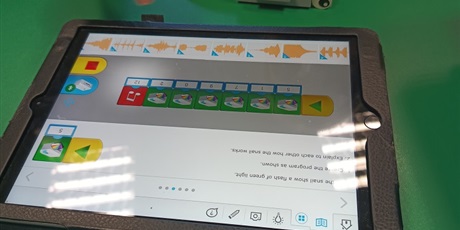 Powiększ grafikę: PROJEKTY I PROGRAMY
