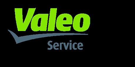 Powiększ grafikę: Firma Valeo sponsorowała konkurs talentów naszej szkoły.